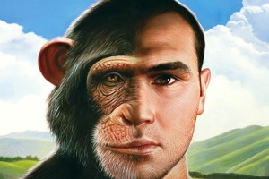 Chimp Human