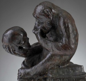 darwinmonkey