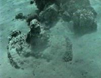 Chariot Wheels Found in Red Sea