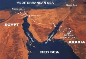 sea7