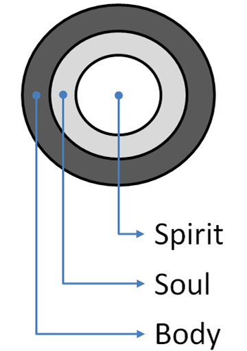 tripart