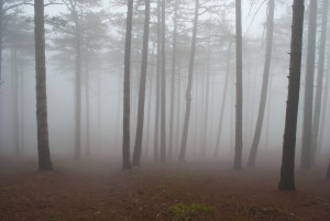 foggy