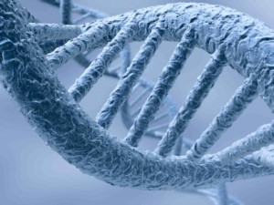dnahelix