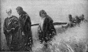 disicple_grain