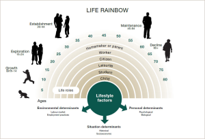Donald Super's Lifespan Theory