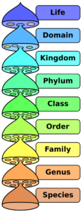 Biological Taxonomy