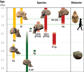 inline-graphic-1